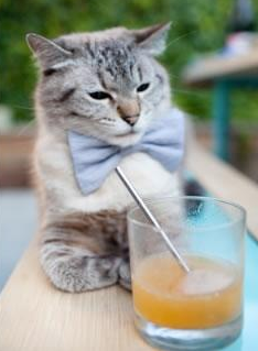 卡昂是否能摆脱保级区困扰,卡昂是什么