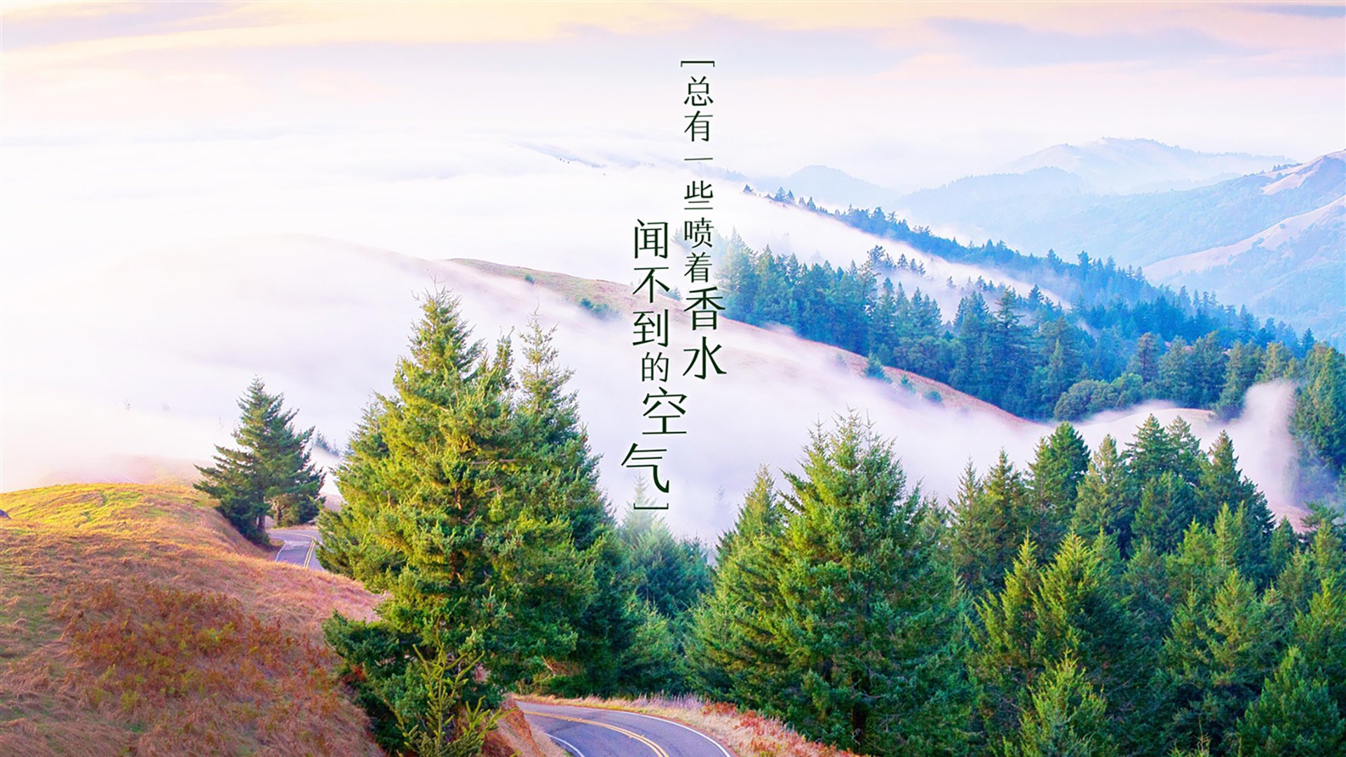 塞维利亚客场0-1不敌皇家社会，遭遇两连败，塞维利亚 vs 皇家马德里