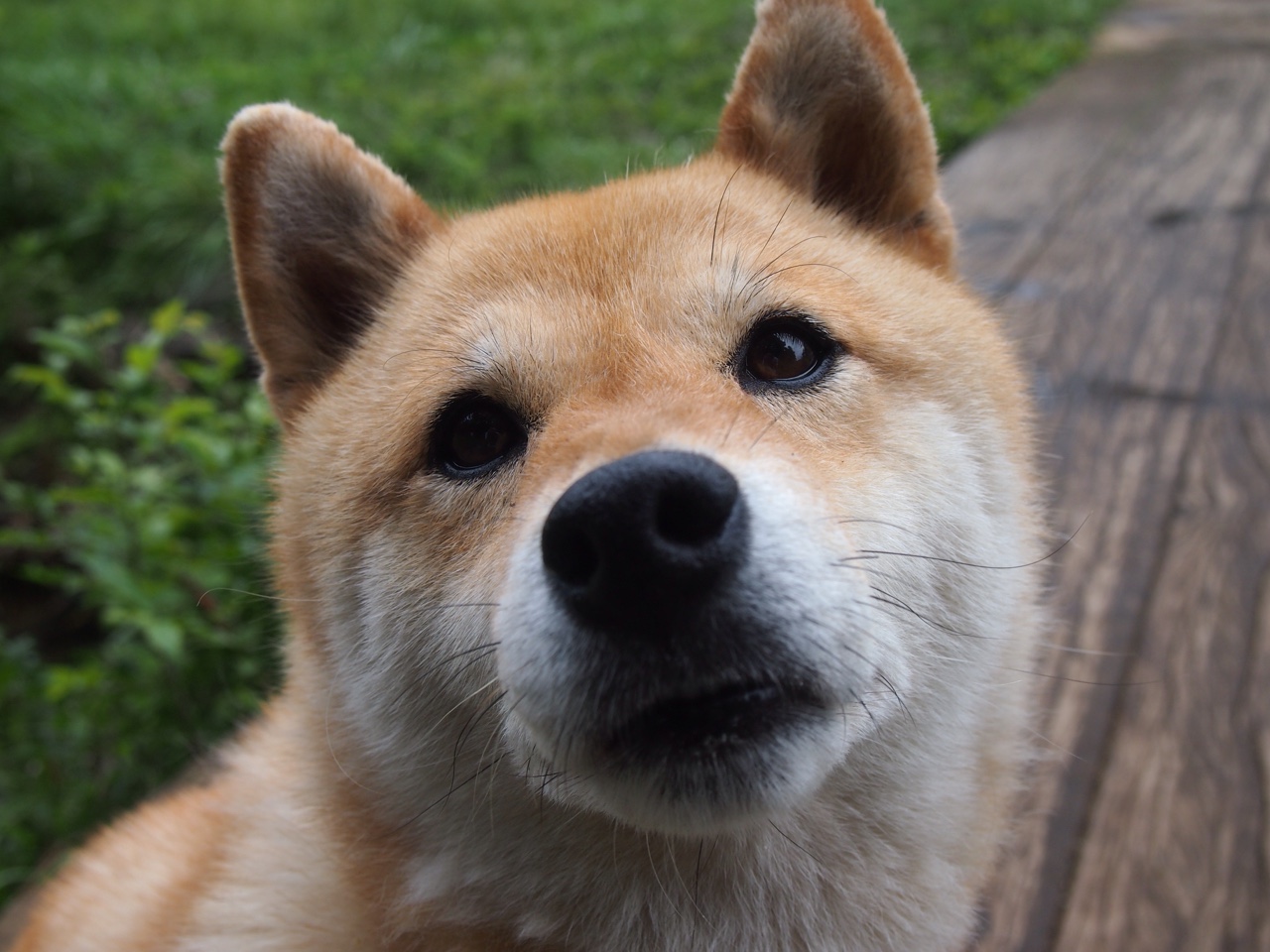 校园体育设施智能维护系统设计研究，体育场智能化系统