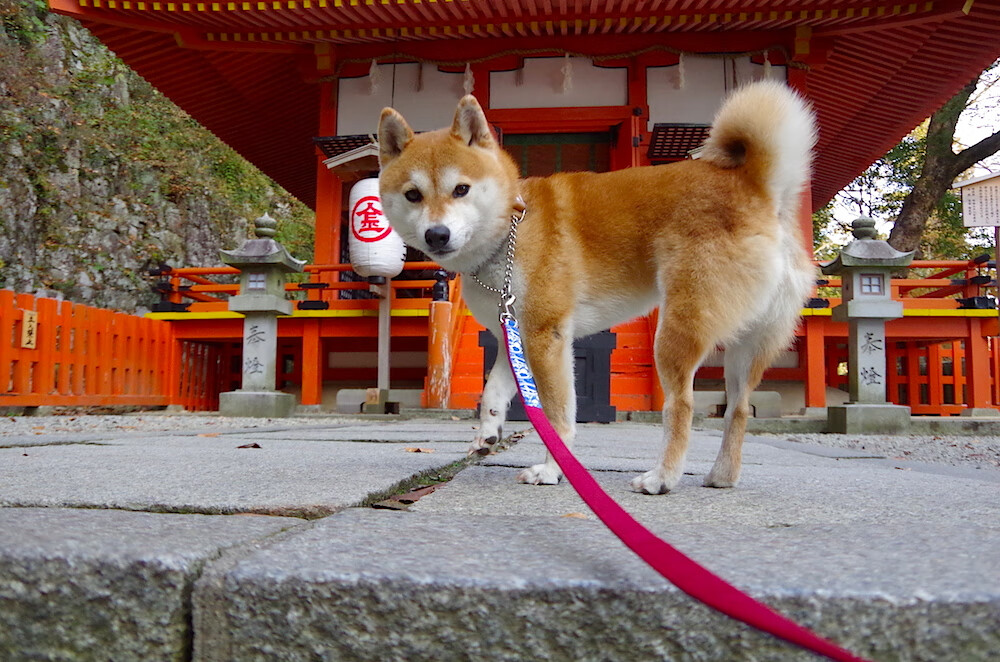 西甲俱乐部区域合作打造球迷生态圈案例,西甲俱乐部名称