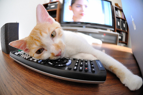 爱游戏体育app下载-运动损伤康复设备国产化路径研究，运动康复器材 医疗器械